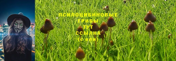 твердый Алексеевка