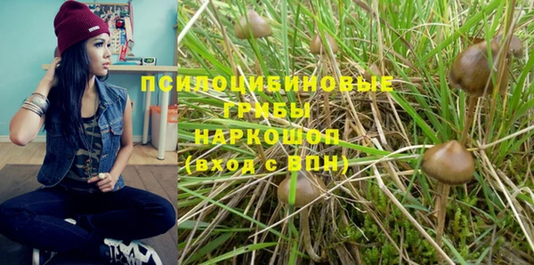 спиды Алзамай