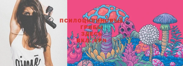 твердый Алексеевка