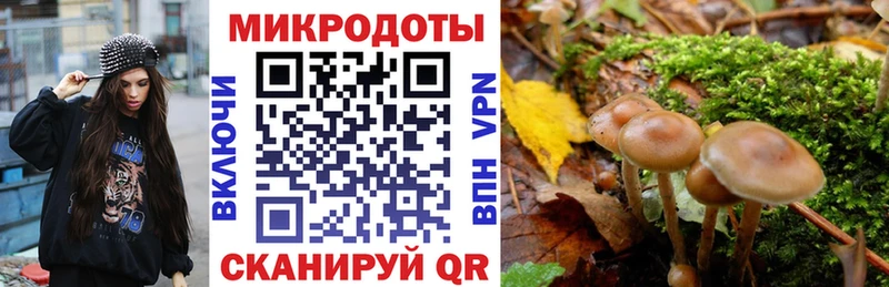 Галлюциногенные грибы GOLDEN TEACHER  Андреаполь 